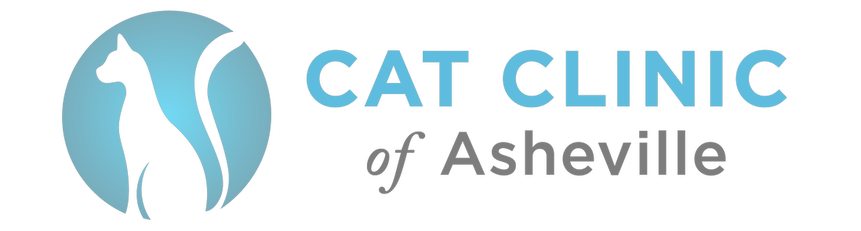 The Cat Clinic of Asheville